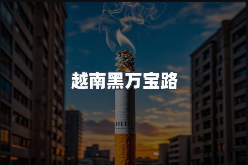 越南黑万宝路